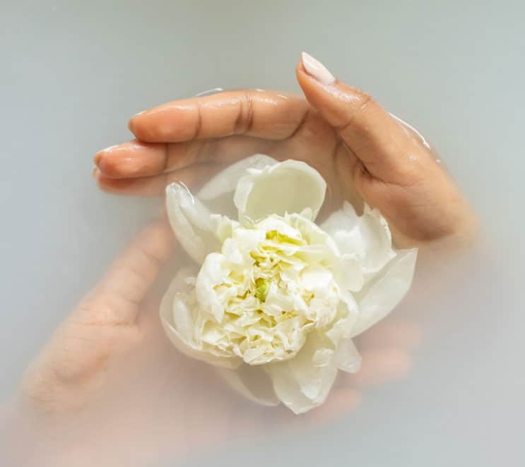 A woman's hands cup a flower resting in opaque water